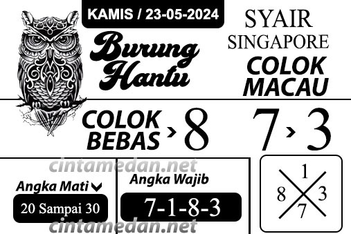 SYAIR SGP VIP